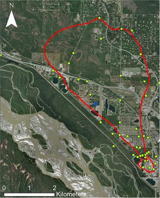 Distribution of a Sulfolane-Metabolizing Rhodoferax sp. Throughout a Contaminated Subarctic Aquifer and Two Groundwater Treatment Systems